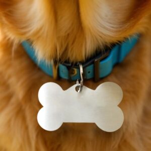 Pet Tags