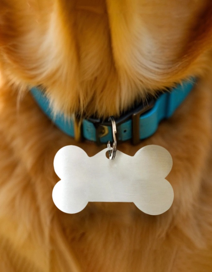 Pet Tags
