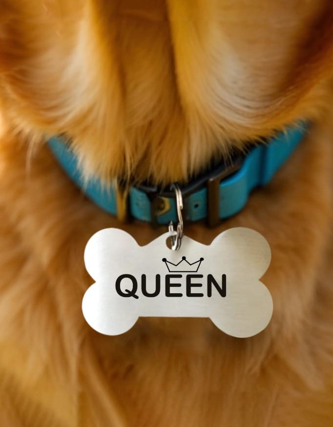 Front_1_c_1.jpg Pet Tags