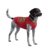 Gemini_Generated_Image_kvbwq6kvbwq6kvbw-Photoroom #bearyhappy Unisex Dog T-Shirt