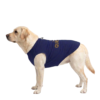 Queen Dog T-Shirt