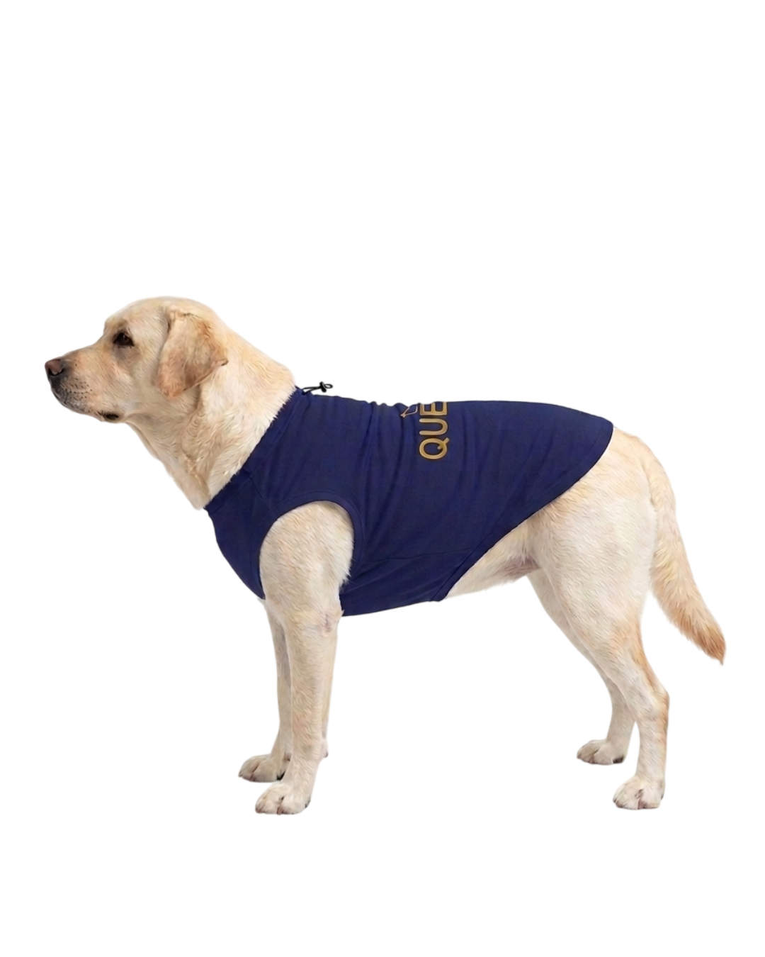 Queen Dog T-Shirt
